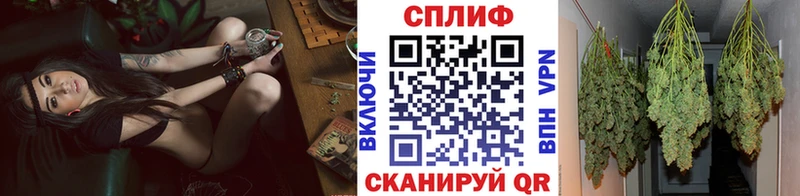 MDMA Новоржев