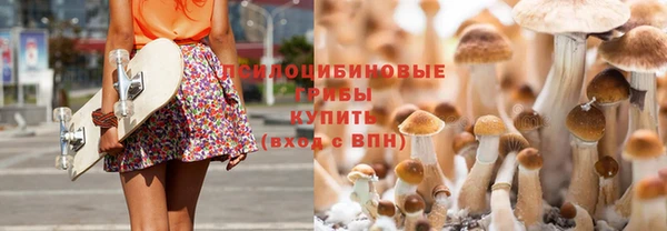 шишки Верея