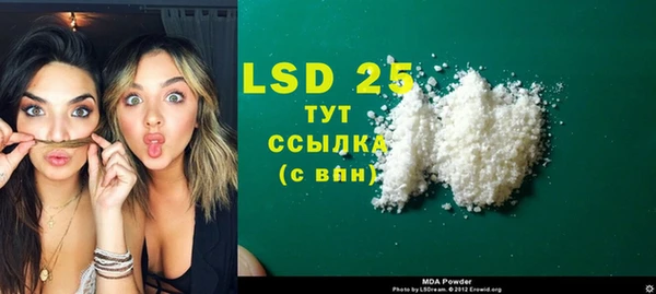 шишки Верея