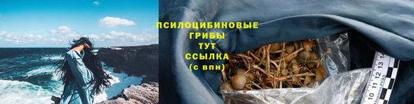 ГАЛЛЮЦИНОГЕННЫЕ ГРИБЫ Верхний Тагил