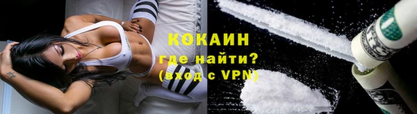 дурь Кедровый