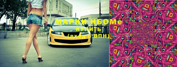 шишки Верея