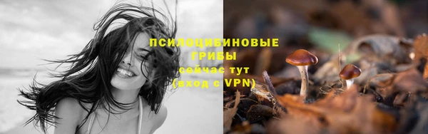 мдпв Верхнеуральск