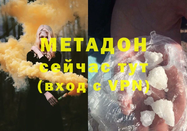 шишки Верея