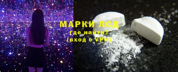 шишки Верея