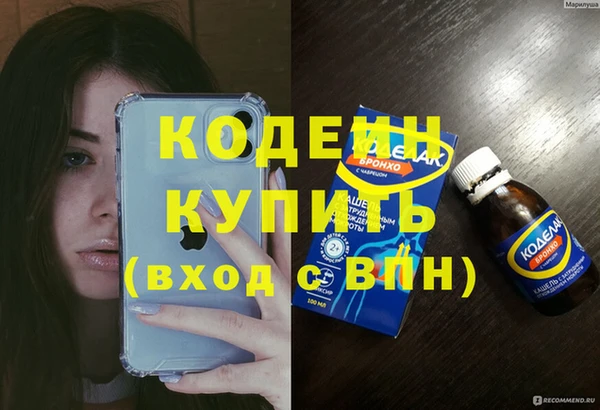 шишки Верея