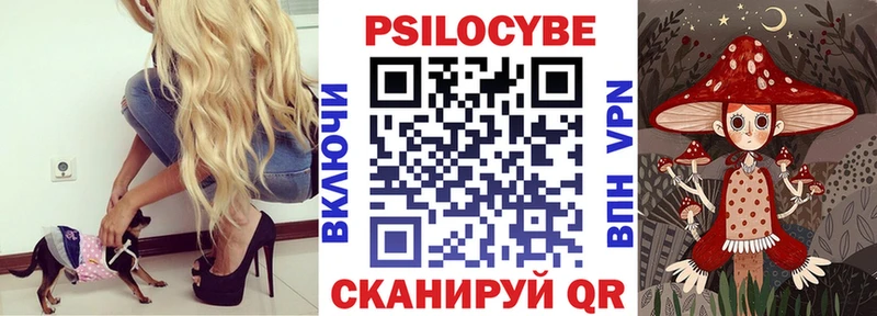 Псилоцибиновые грибы прущие грибы Новоржев